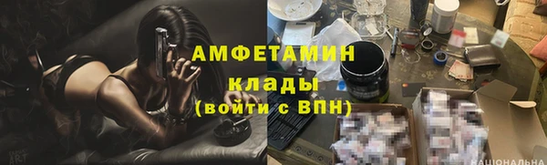 ГАЛЛЮЦИНОГЕННЫЕ ГРИБЫ Алзамай
